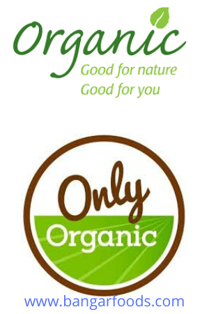 organic logo 17