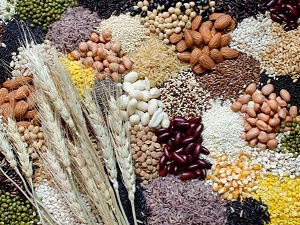 6 Drive Foods